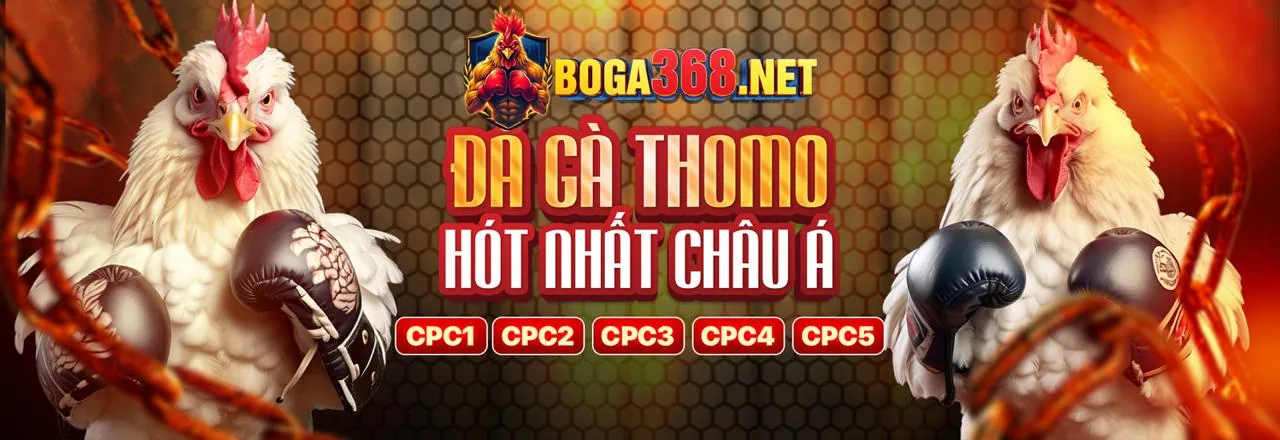 Hỗ trợ khách hàng Spobet đăng ký